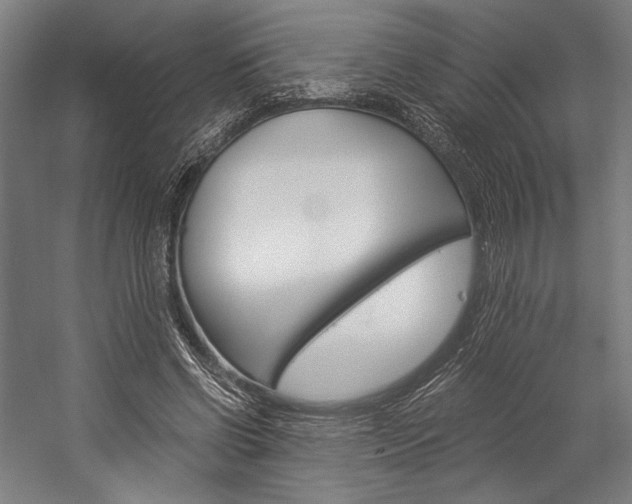 X0000057040542200509090819