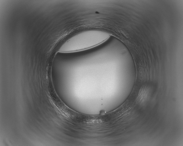 X0000057040543200509090819