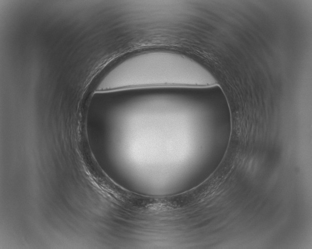 X0000057040544200509090819