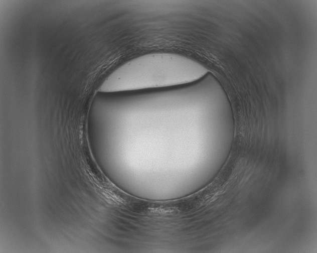 X0000057040545200509090819