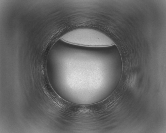 X0000057040547200509090819