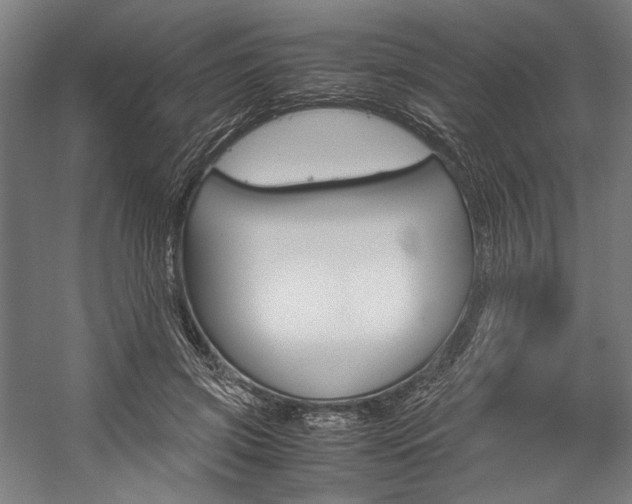 X0000057040549200509090819