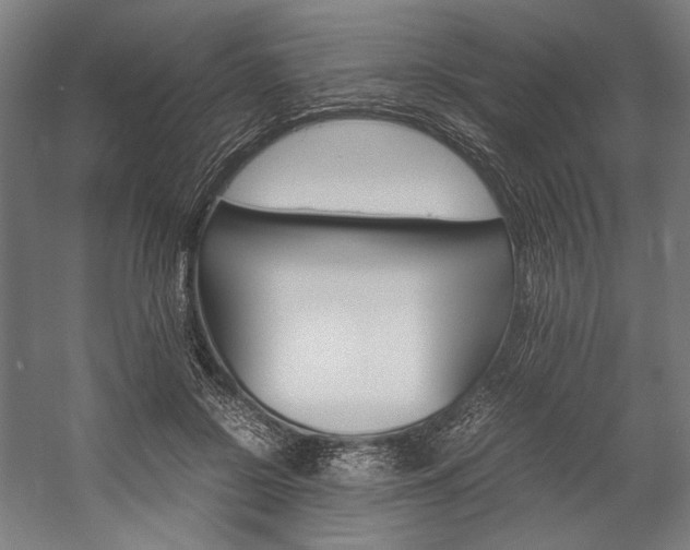 X0000057040550200509090819