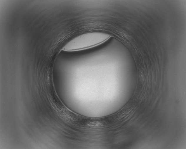 X0000057040551200509090819