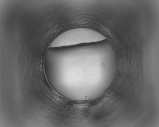 X0000057040553200509090819