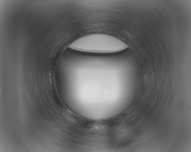 X0000057040555200509090819