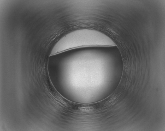X0000057040556200509090819