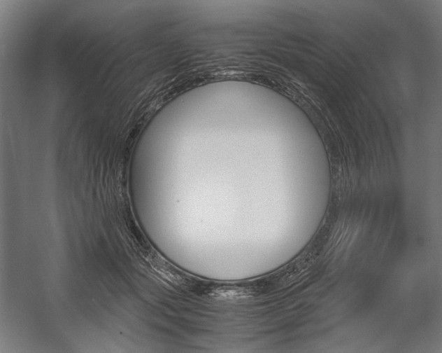 X0000057040557200509090819