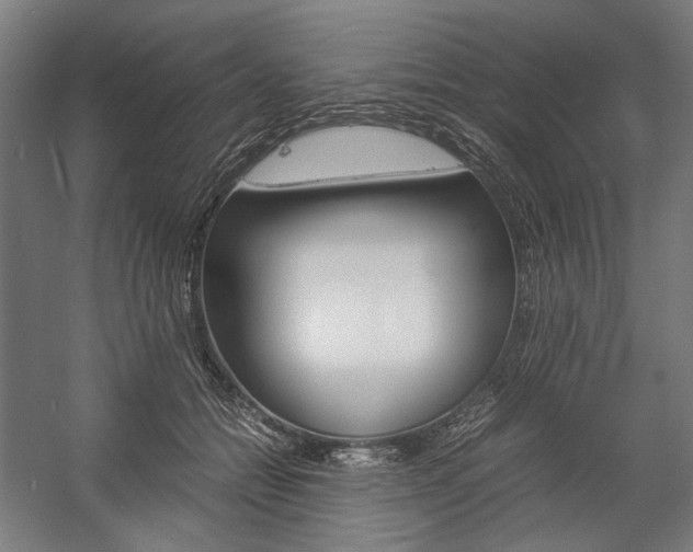 X0000057040558200509090819