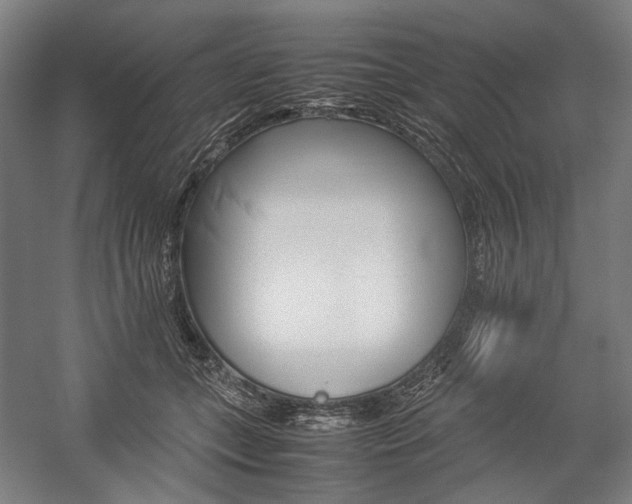 X0000057040559200509090819