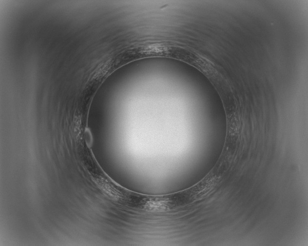X0000057040560200509090819