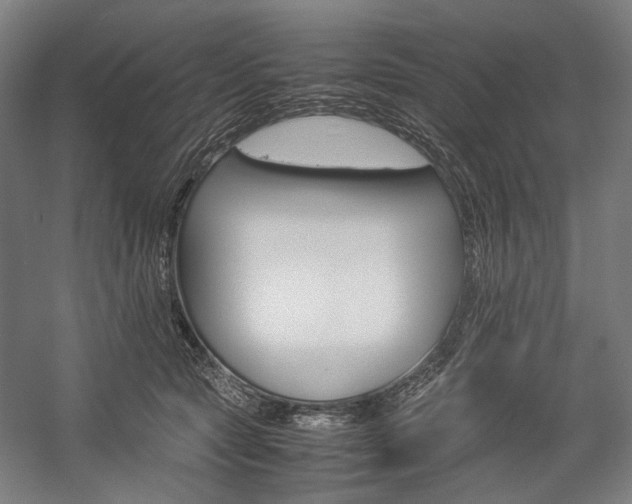 X0000057040561200509090819
