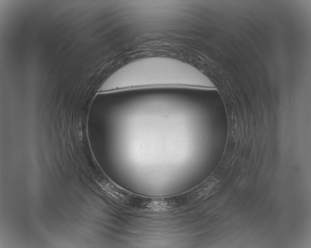 X0000057040562200509090819