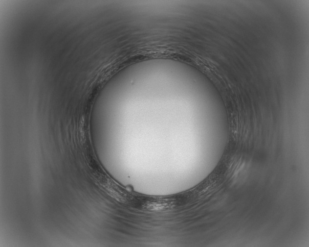 X0000057040563200509090819