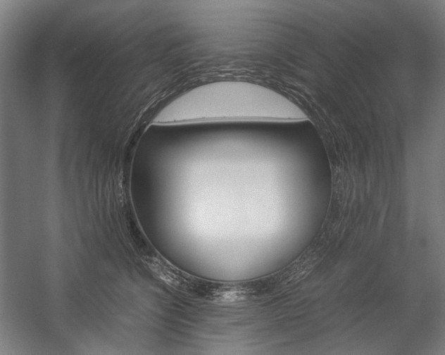 X0000057040564200509090819