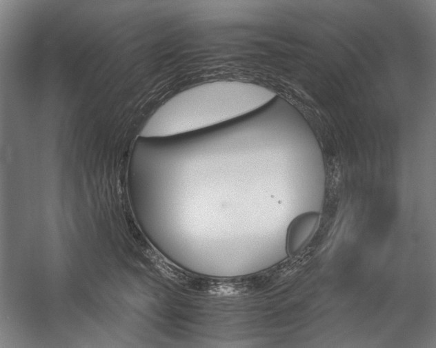 X0000057040565200509090819