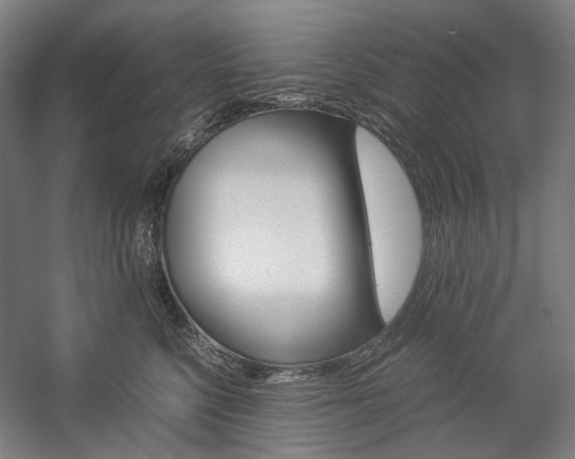 X0000057040568200509090819