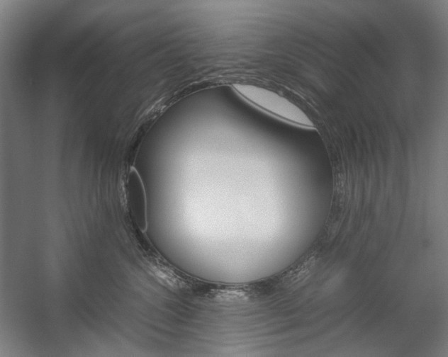 X0000057040572200509090819