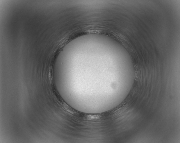 X0000057040573200509090819