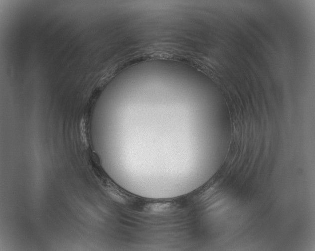 X0000057040575200509090819