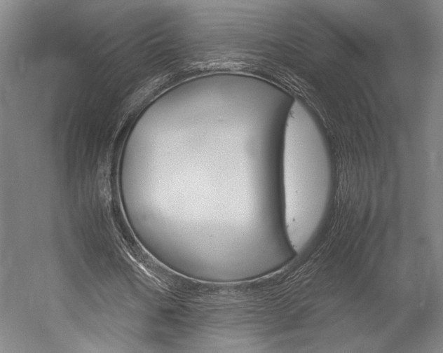 X0000057040578200509090819