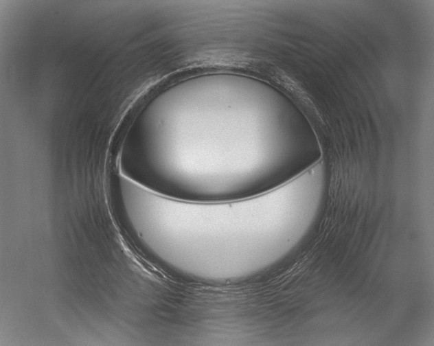 X0000057040580200509090818