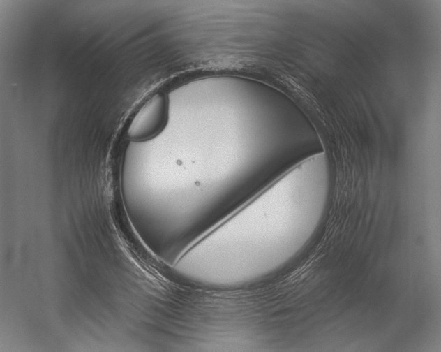 X0000057040584200509090818