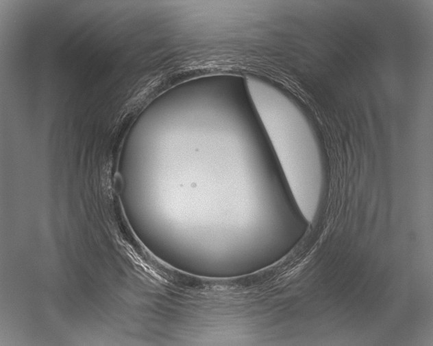 X0000057040585200509090818