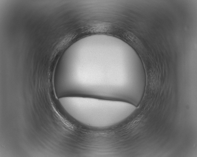 X0000057040586200509090818