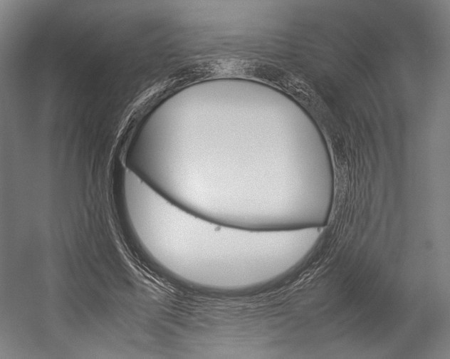 X0000057040587200509090818