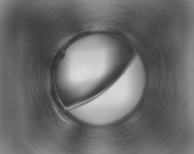 X0000057040588200509090818