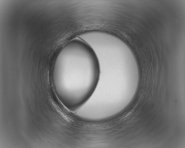 X0000057040589200509090818