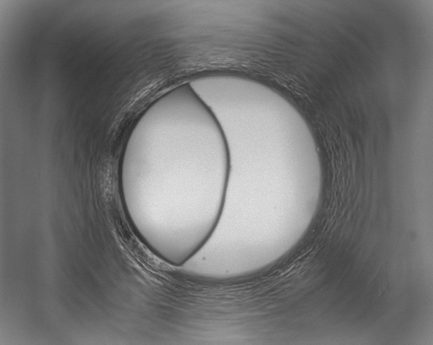 X0000057040591200509090818