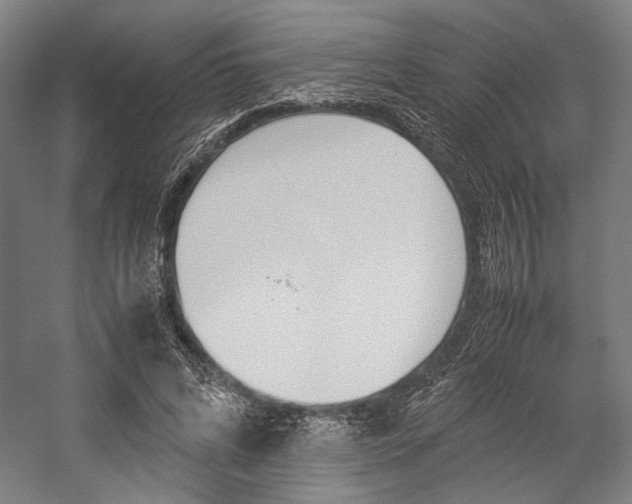 X0000057040592200509090818