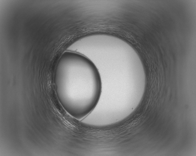 X0000057040593200509090818