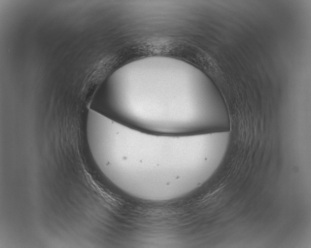 X0000057040594200509090818