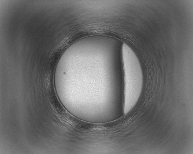 X0000057040595200509090818