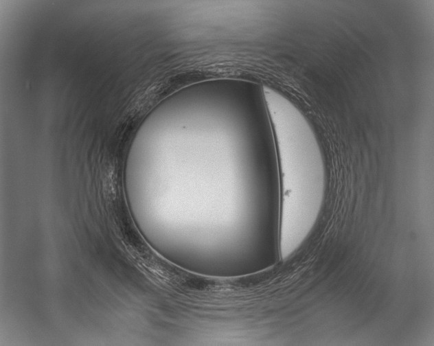 X0000057040597200509090818