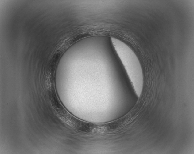 X0000057040599200509090818