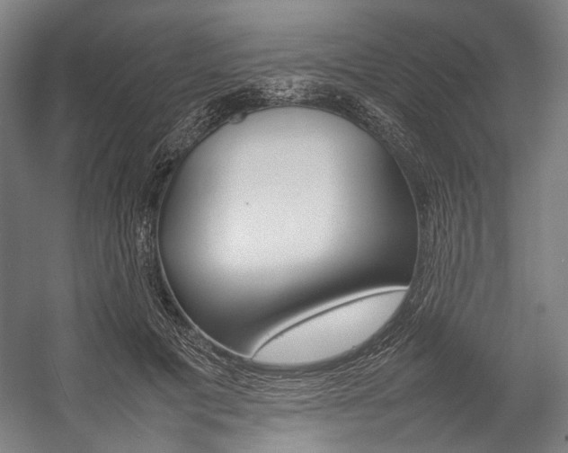 X0000057040601200509090818
