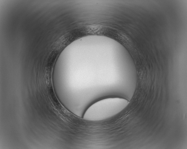 X0000057040602200509090818