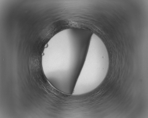 X0000057040603200509090818