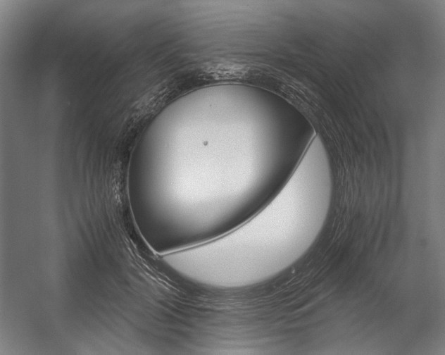 X0000057040604200509090818