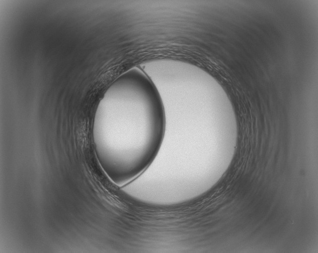 X0000057040605200509090818
