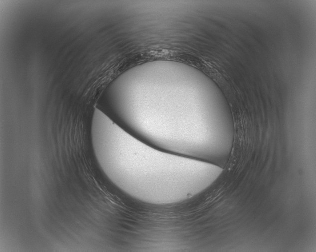 X0000057040606200509090818