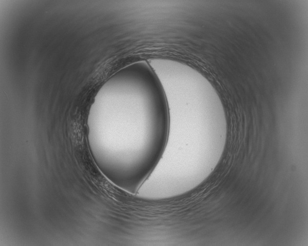 X0000057040609200509090818