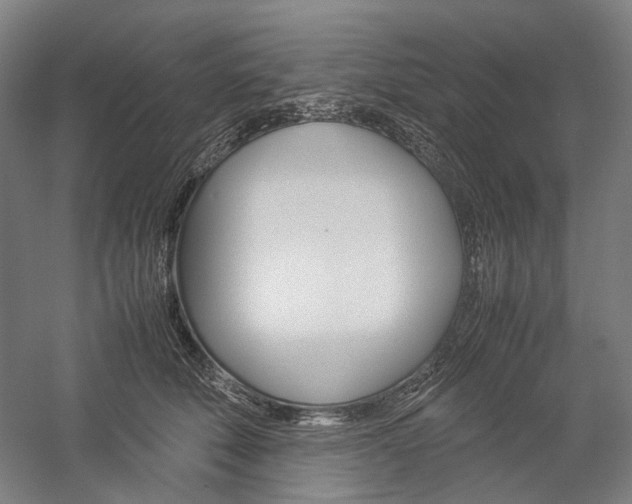 X0000057040610200509090818