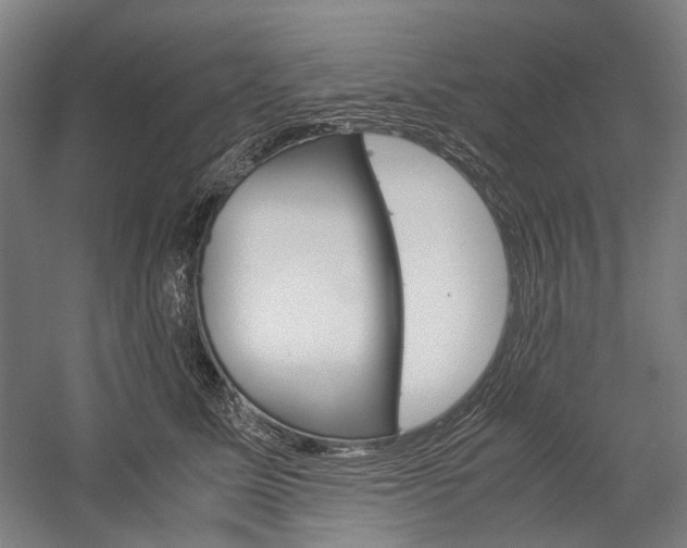 X0000057040611200509090818