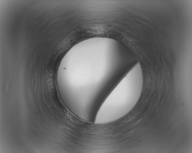 X0000057040612200509090818