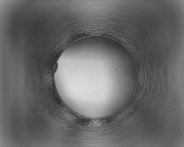 X0000057040613200509090818